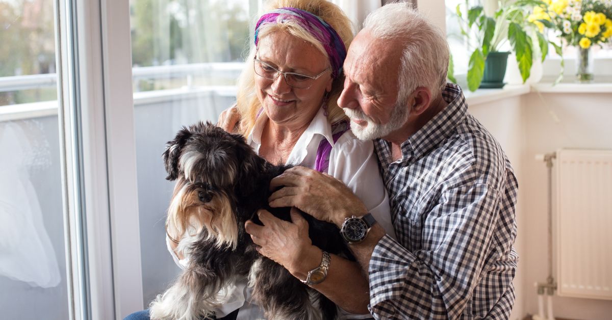 Adopting A Pet Together_ What You Think About First - Mature Singles Finding Love Happy senior couple sitting indoors and cuddling a small black and white dog, symbolizing love, companionship, and pet adoption in later life.