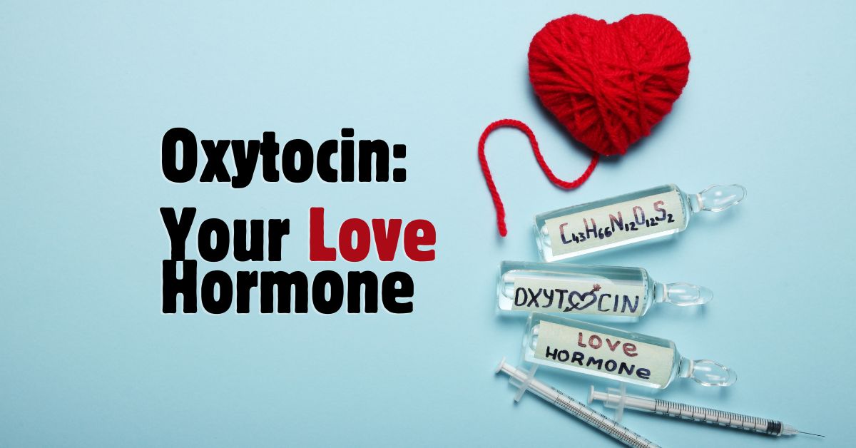 How To Increase Your Oxytocin Your Love Hormone - Mature Singles Finding Love Oxytocin: Your Love Hormone – Concept image with vials labeled 'Oxytocin' and 'Love Hormone,' a red yarn heart, and a syringe, symbolizing the role of oxytocin in emotional bonding and relationships.