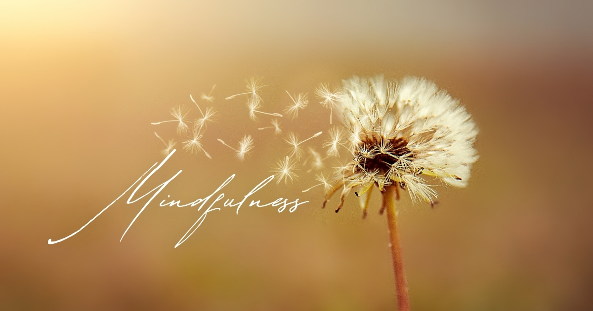 Mindful Living_ Enhancing Your Relationship Through Mindfulness - Mature Singles Finding Love Looking for a relationship over 50? Read our latest blog for tips and the best mindfulness activities for couples while improving your sex life today.