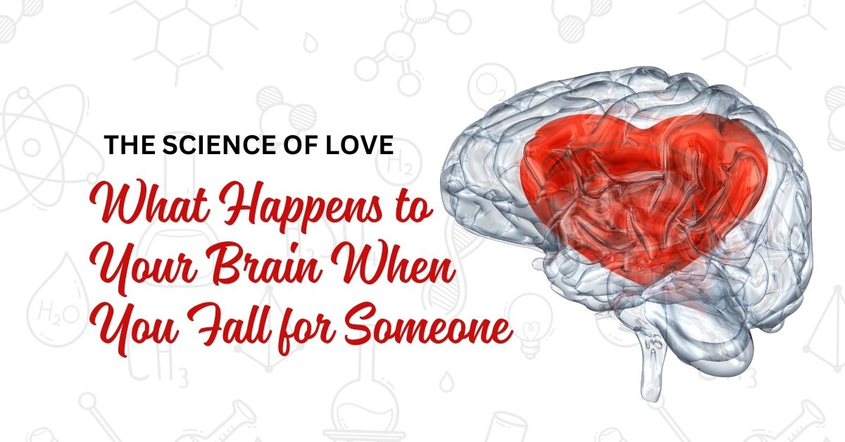 The Science of Love_ What Happens to Your Brain When You Fall for Someone